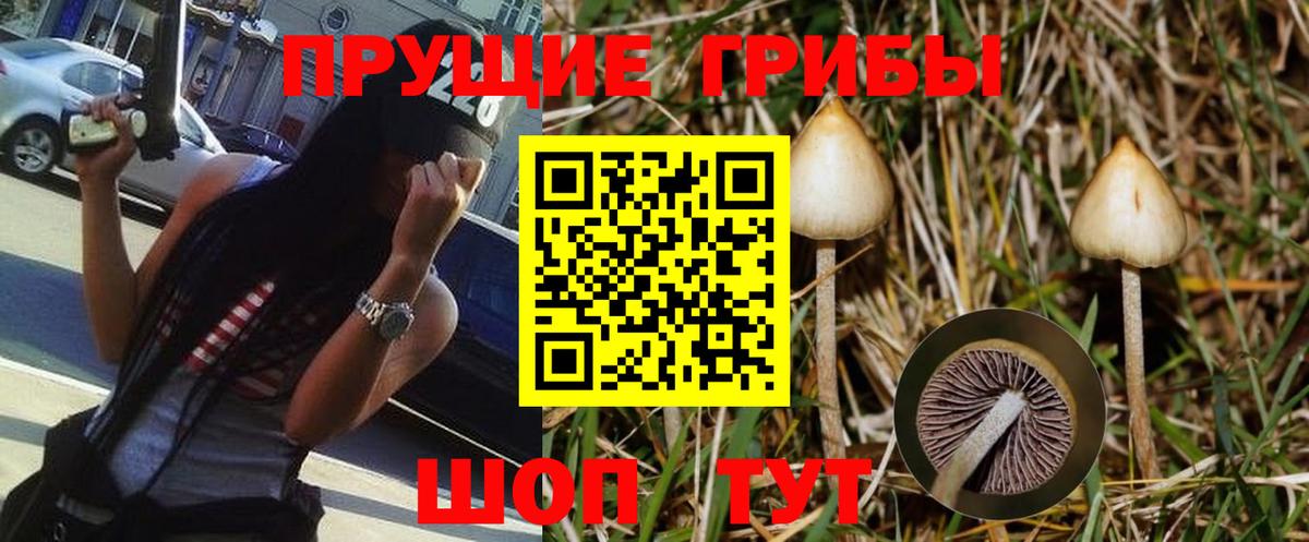 Псилоцибиновые грибы мухоморы  Галлюциногенные грибы GOLDEN TEACHER  Урюпинск  Вход с VPN 
